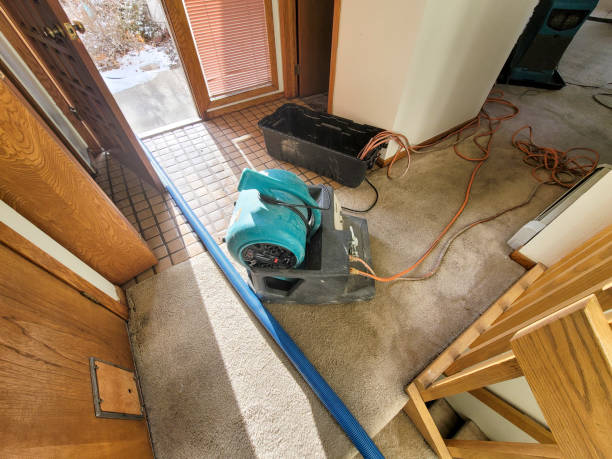 Best Water damage restoration near me  in Ventnor City, NJ