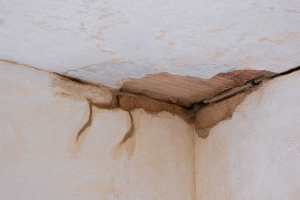 Best Flood restoration services  in Ventnor City, NJ