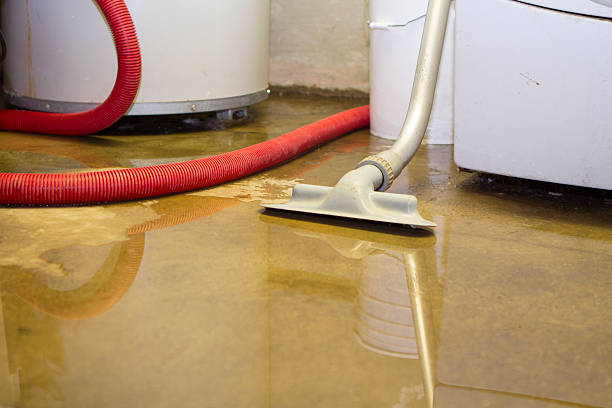 Best Commercial water damage restoration  in Ventnor City, NJ