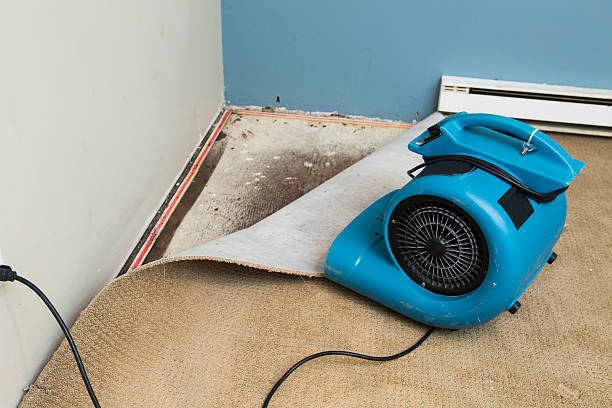 Best Water damage restoration services  in Ventnor City, NJ